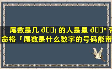 尾数是几 🐡 的人是皇 🌺 帝命格「尾数是什么数字的号码能带来好运」